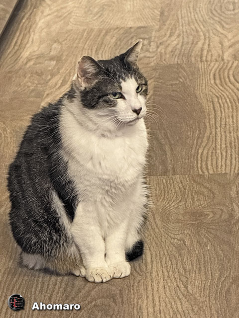 ʐ^00