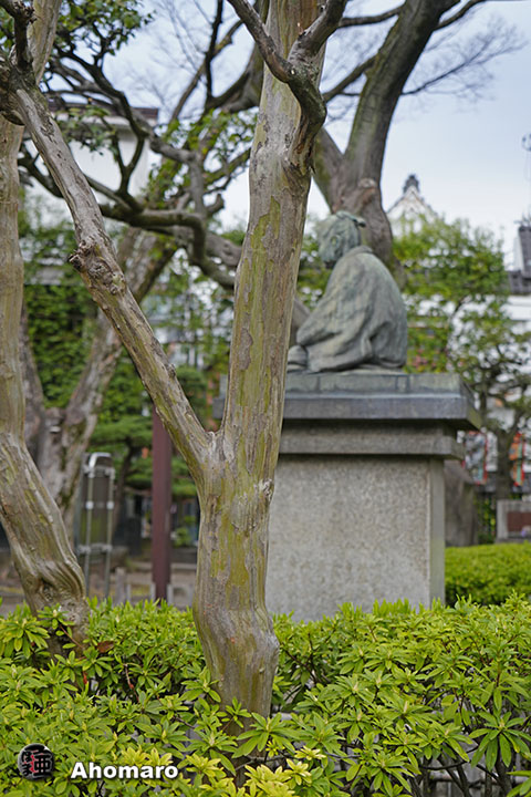 写真00