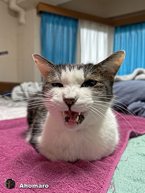 ʐ^00