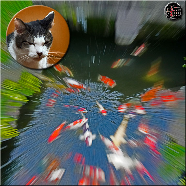 Lʐ^