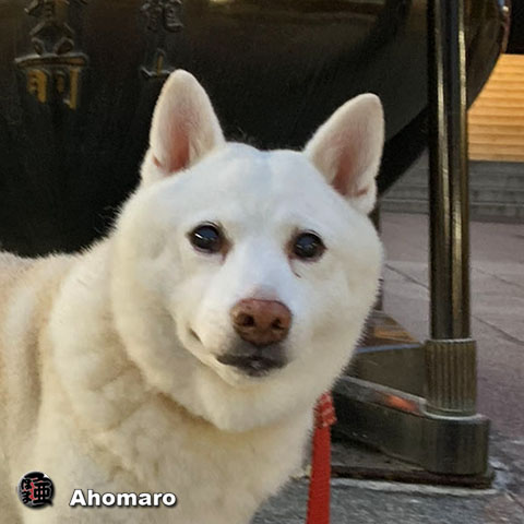 ʐ^00