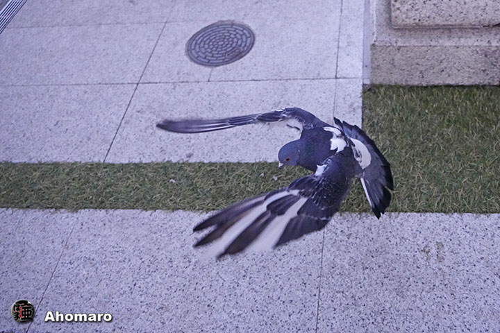 ʐ^00