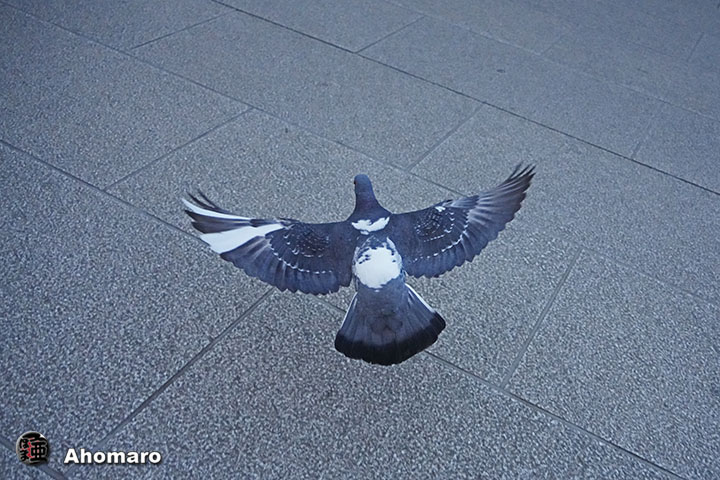 ʐ^00