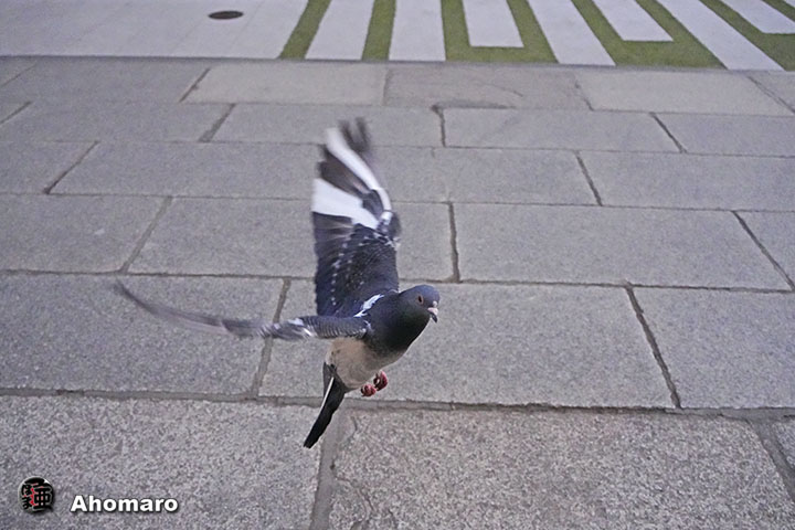 ʐ^00
