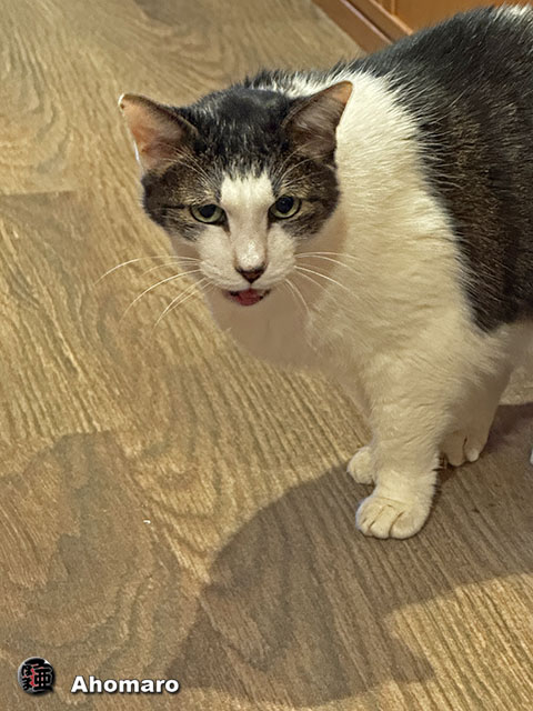 ʐ^00