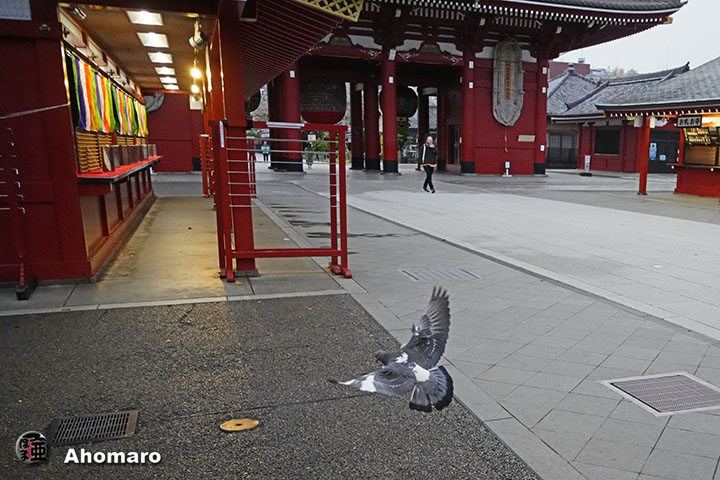 ʐ^00
