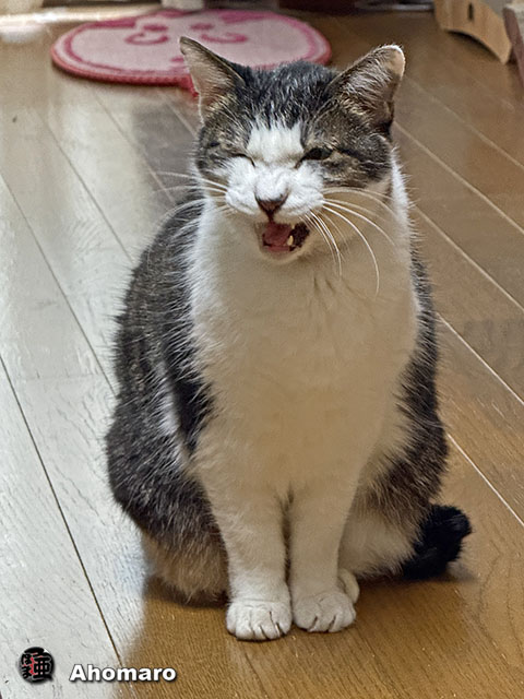ʐ^00