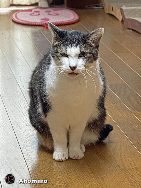 ʐ^00