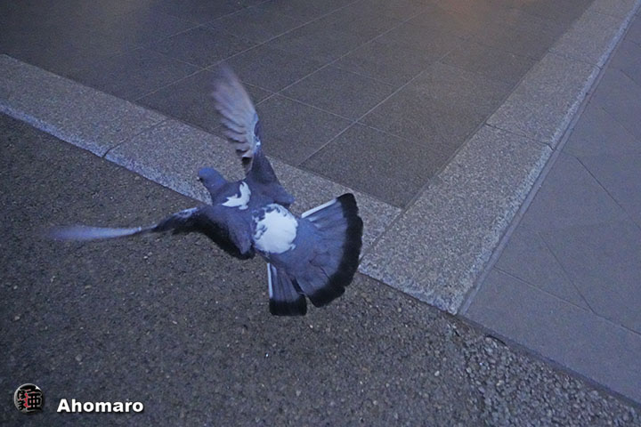 ʐ^00