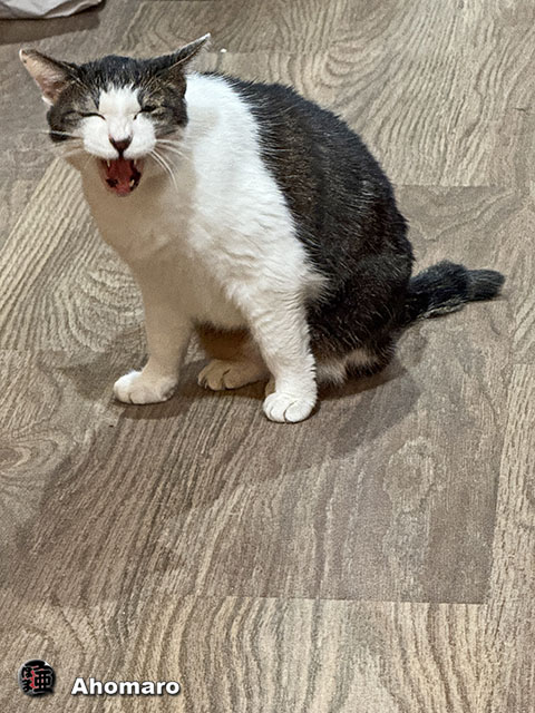 ʐ^00