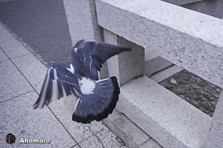 ʐ^00