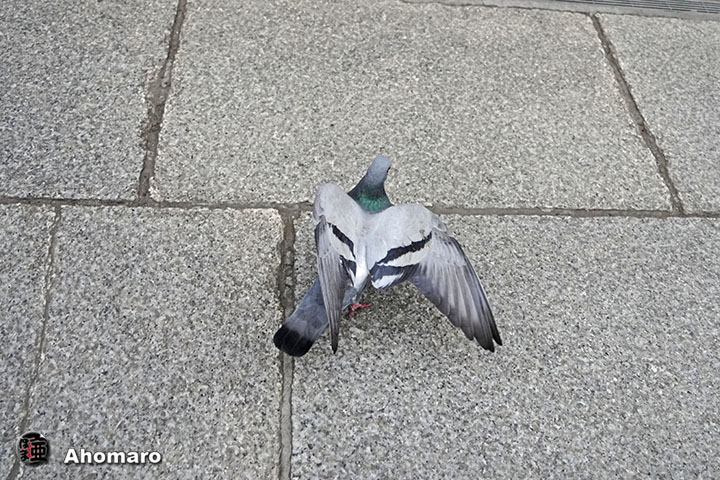 ʐ^00