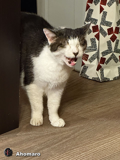 ʐ^00