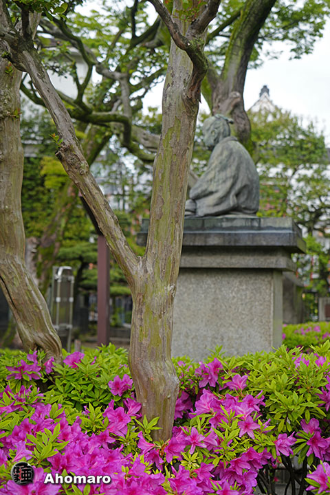 写真00