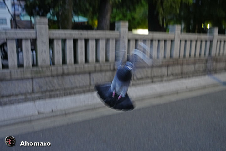 ʐ^00