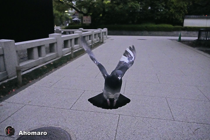 ʐ^00
