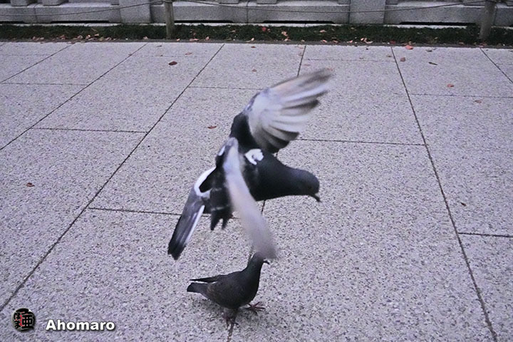 ʐ^00
