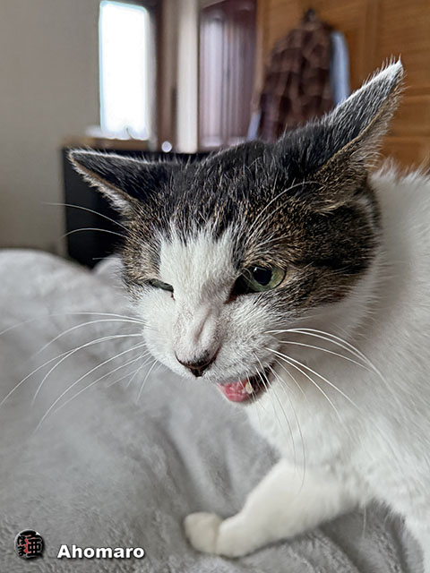 ʐ^00