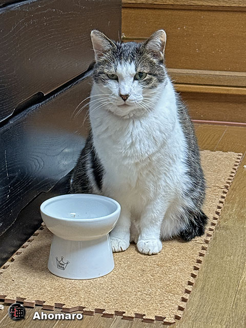 ʐ^00