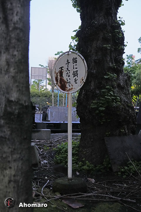 ʐ^00