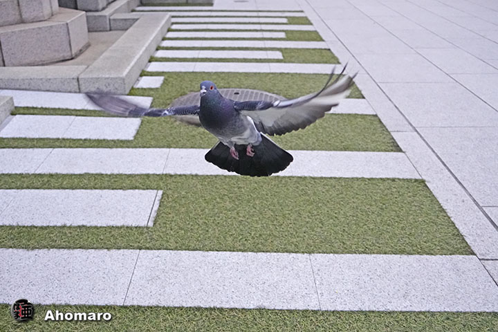ʐ^00