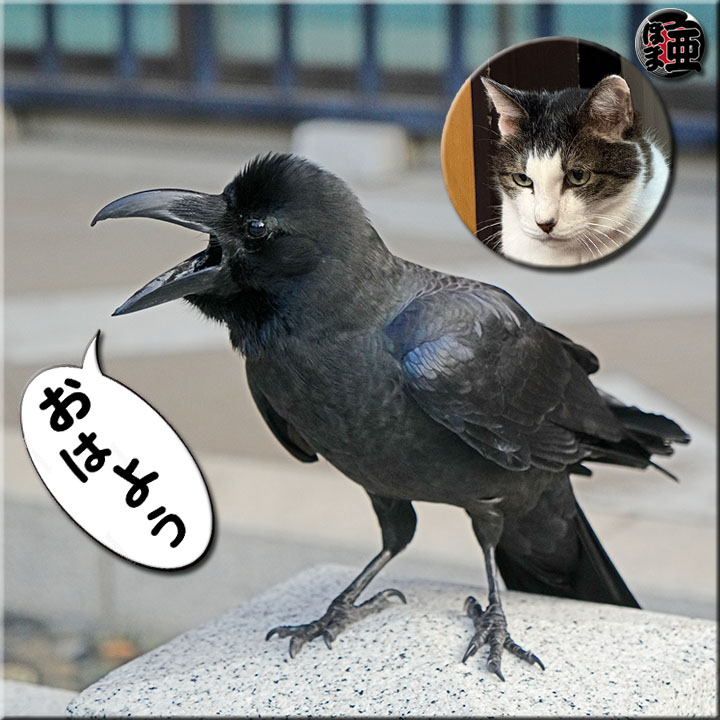 Lʐ^