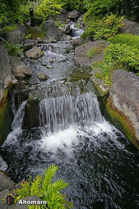 写真00