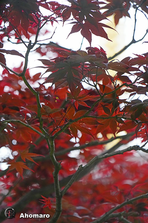 写真00