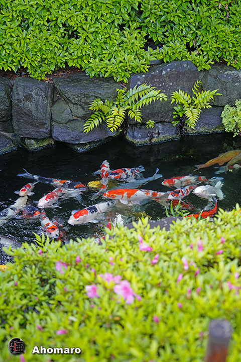 写真00