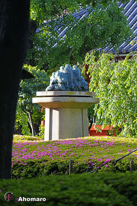 写真00