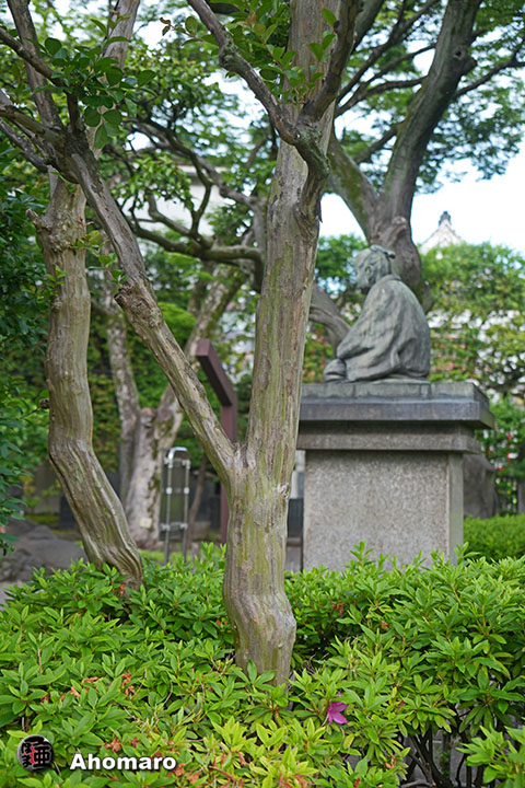 写真00