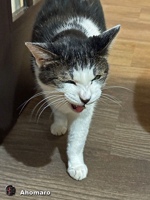 ʐ^00