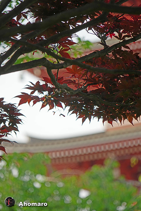 写真00