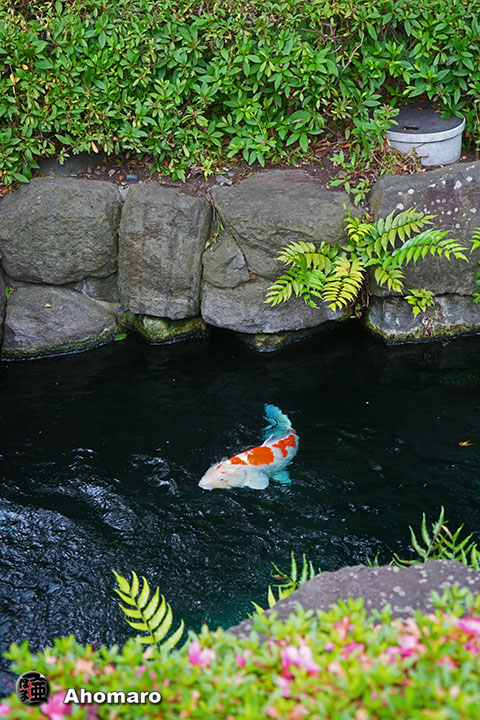 写真00