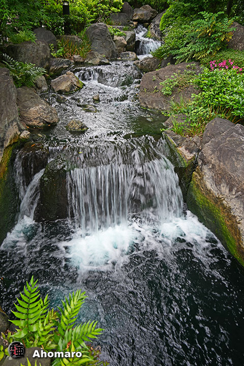写真00