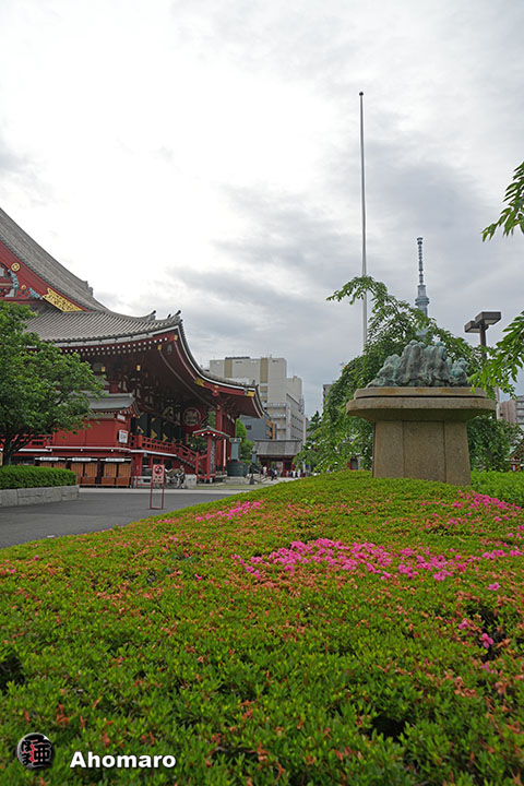 写真00