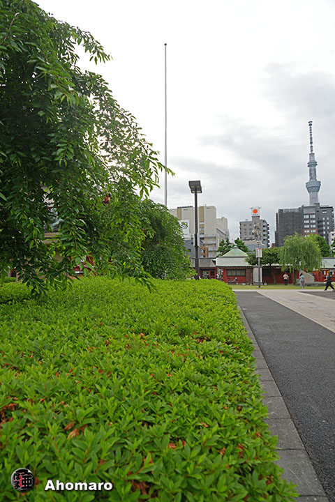 写真00