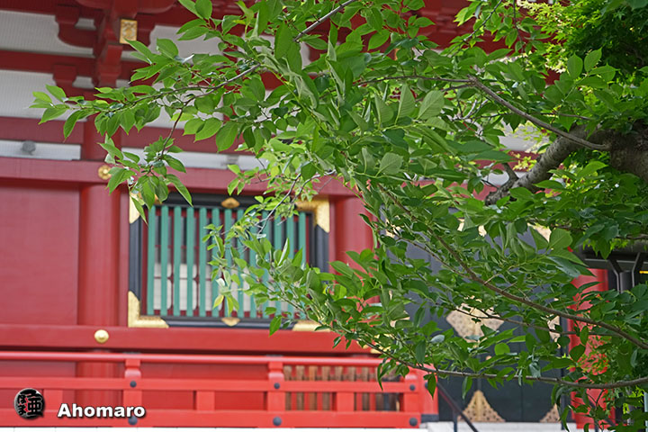 写真00