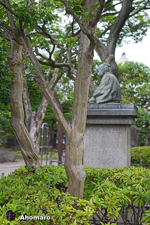 写真00