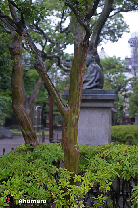 写真00