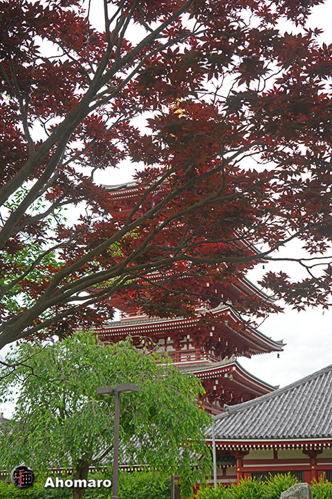 写真00