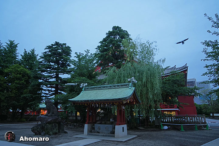 写真00