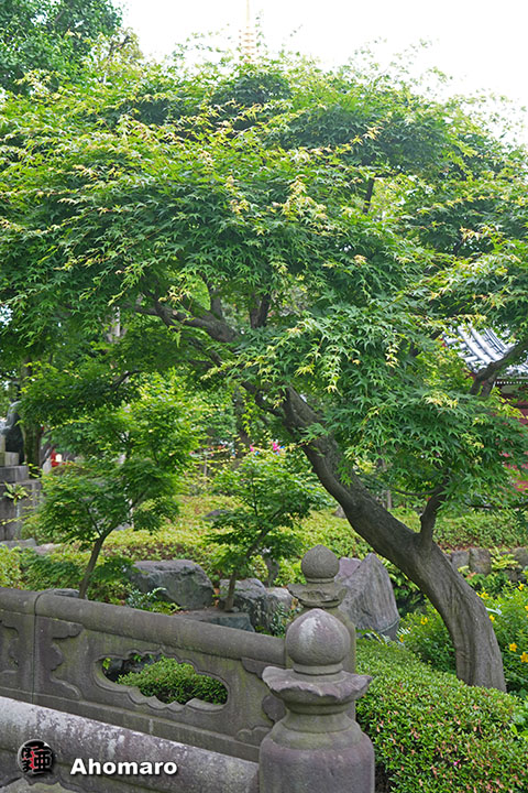 写真00