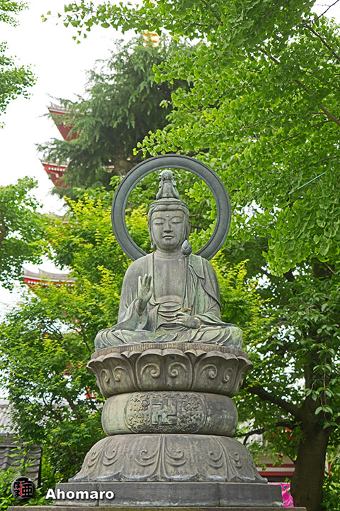 写真00