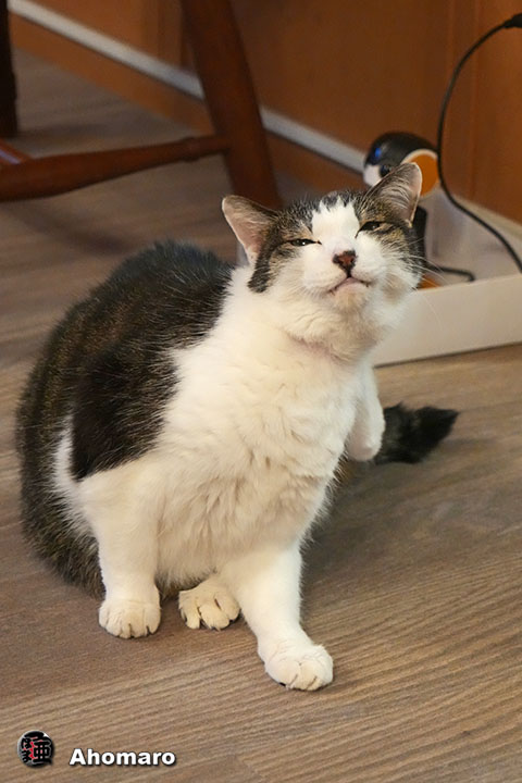 ʐ^00