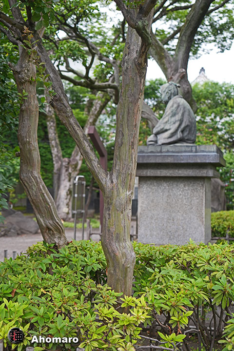 写真00
