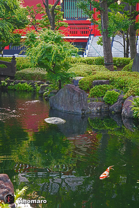 写真00