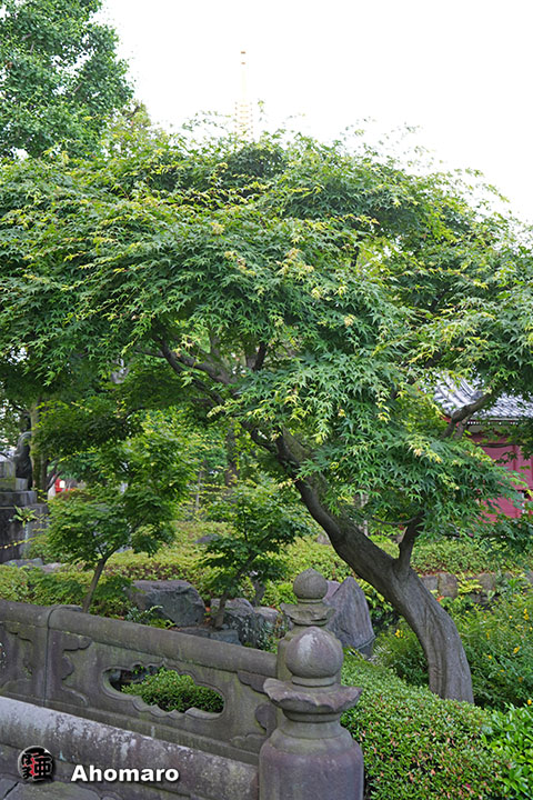 写真00