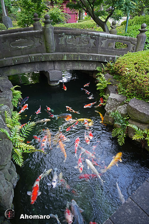 写真00