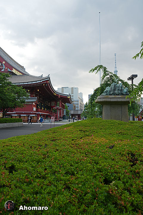 写真00
